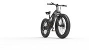 GOGOBEST 26 Inch Fat Tire 1000w Motor 48V 13ah Battery 7 Speed Electric Bike